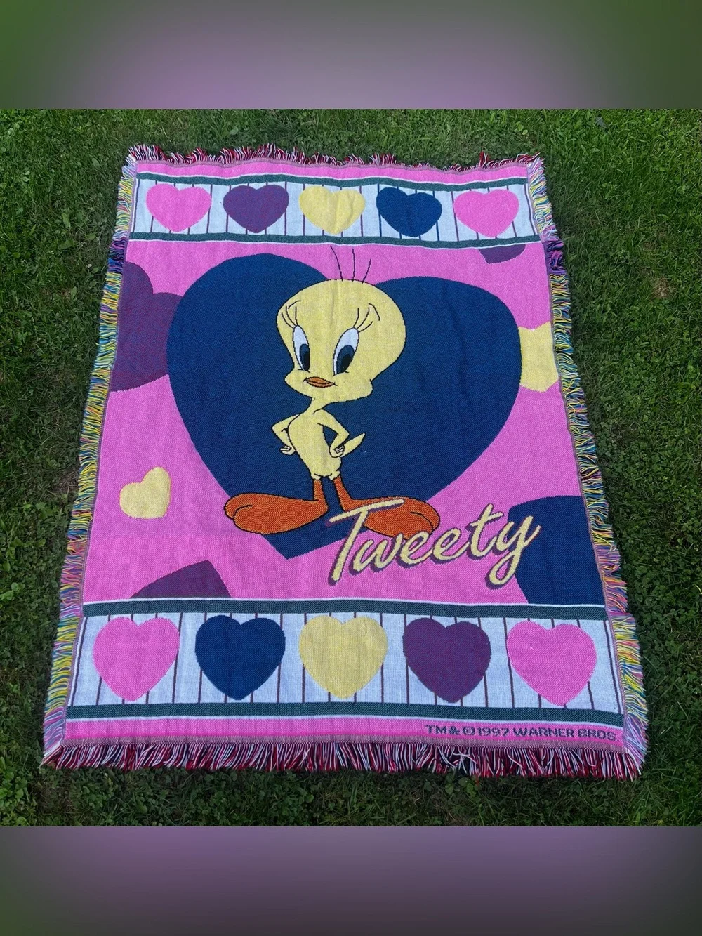 Vintage 1997 Warner Bros. ‘Tweety Bird’ Fringe Heart Blanket